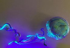 Hot Sands Glass Jellyfish